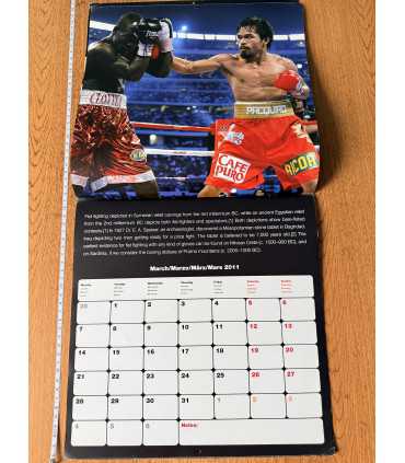 Календарь Boxing Stars