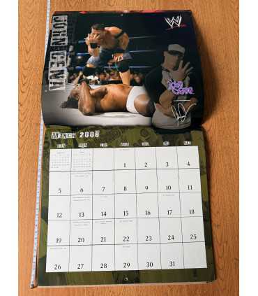 Календарь World Wrestling