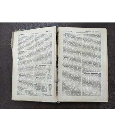 Настольная иллюстрированная энциклопедия. Битнер. Том 2