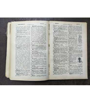 Настольная иллюстрированная энциклопедия. Битнер. Том 2