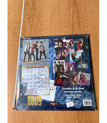 Календарь Camp Rock