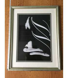 К2. Фото в рамке