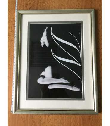 К2. Фото в рамке