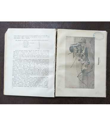 Великая реформа. Т. 6