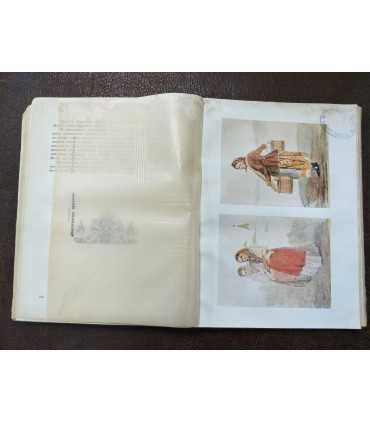 Великая реформа. Т. 6