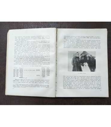 Великая реформа. Т. 6