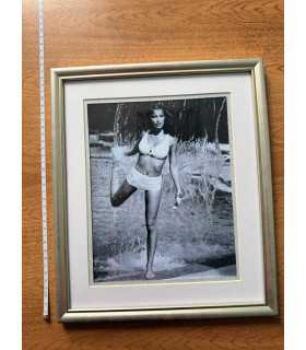 К8. Фото в рамке