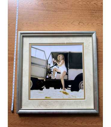 К9. Фото в рамке