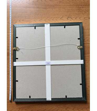 К9. Фото в рамке