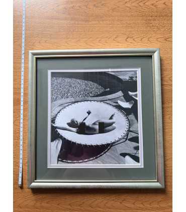 К9. Фото в рамке