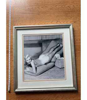 К9. Фото в рамке