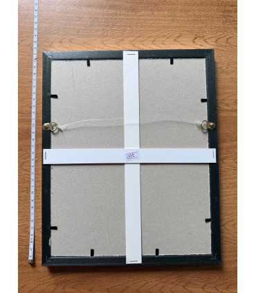 К9. Фото в рамке