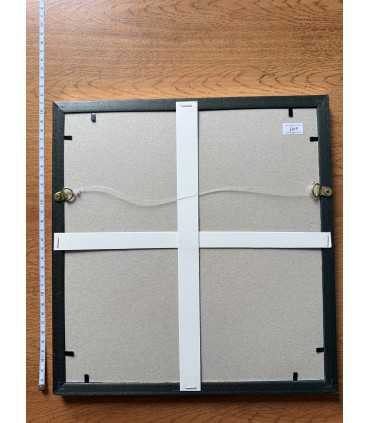 К9. Фото в рамке