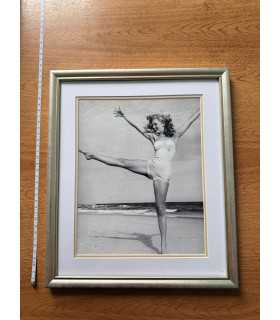 К9. Фото в рамке