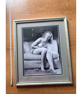 К9. Фото в рамке