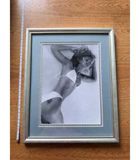 К9. Фото в рамке