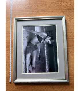 К9. Фото в рамке