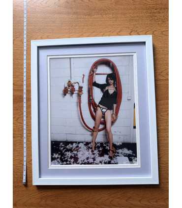 К9. Фото в рамке