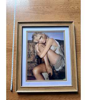 К9. Фото в рамке