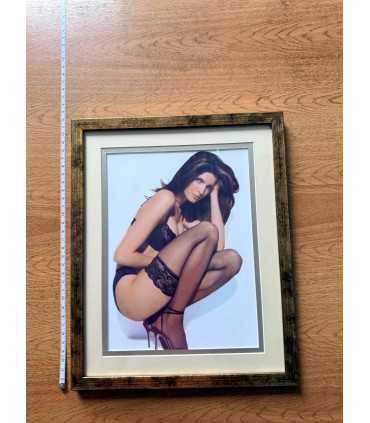 К9. Фото в рамке