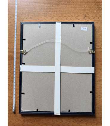 К9. Фото в рамке