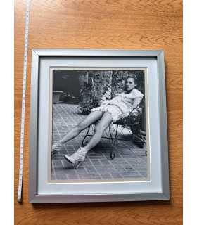 К9. Фото в рамке