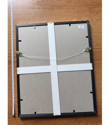 К9. Фото в рамке