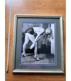 К9. Фото в рамке