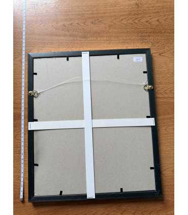 К9. Фото в рамке