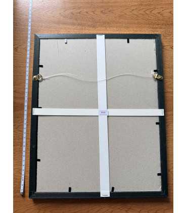 К9. Фото в рамке