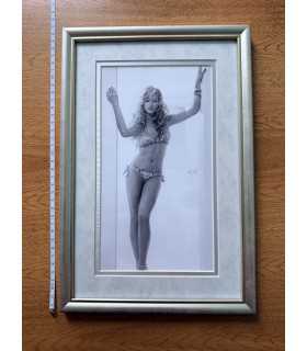 К7. Фото в рамке