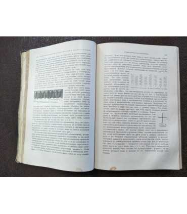 История искусства, т. 1