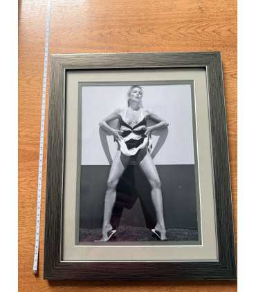 К11. Фото в рамке