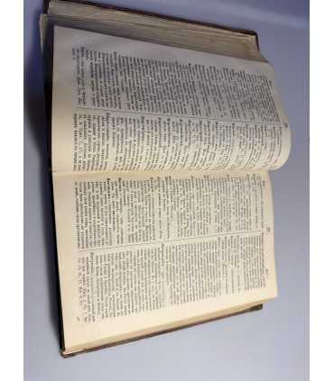 СК-19. полный церковно славянский словарь 1899г.