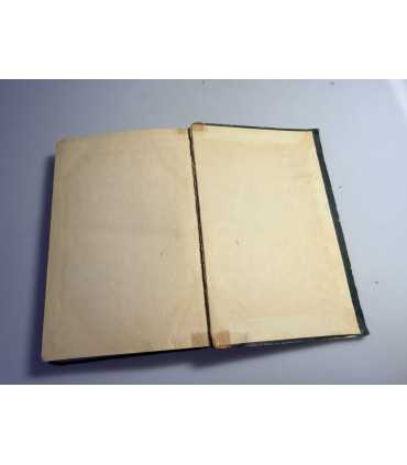 СК-110. Семейство Разумовских