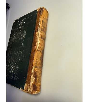 СК-110. Семейство Разумовских