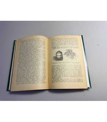 СК-118.парники, паровые гряды и рассадники