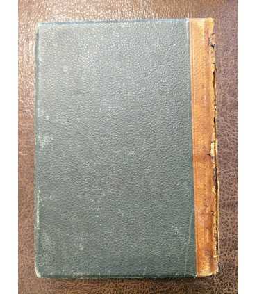 История России в XIX веке, т. 5