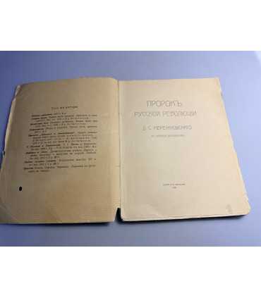 СК-229.Пророк русской революции 1906г.