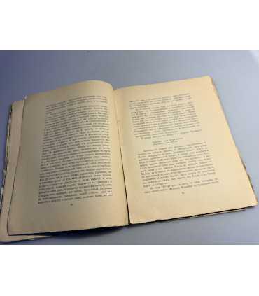 СК-229.Пророк русской революции 1906г.