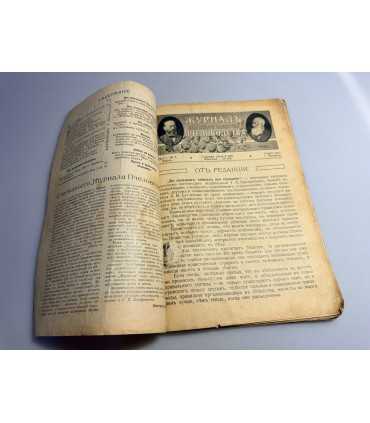 СК-235.журнал пчеловодства 1917г.