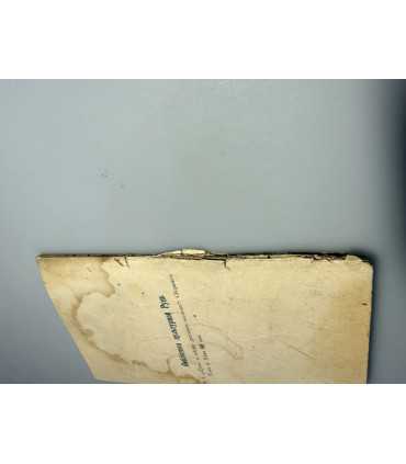 СК-274.Европейская литература 19 века 1900г.