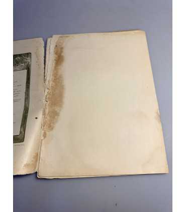 СК-331. Пробуждение 1914.