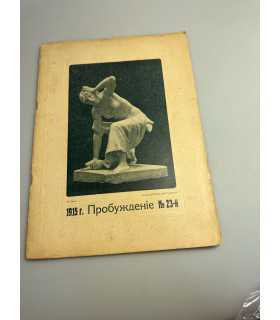 СК-368. Пробуждение 1915г.