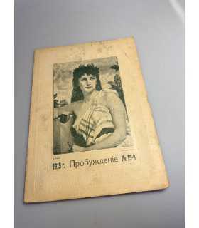 СК-367. Пробуждение 1915г.