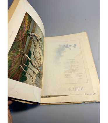 СК-387. Пробуждение 1914г.