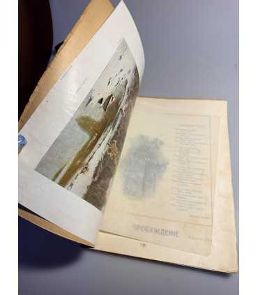 СК-394. Пробуждение 1914 год