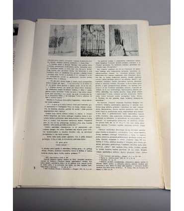 СК-401. M.K.ČIURLIONIS