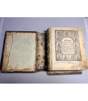 СК-404. Диоптра