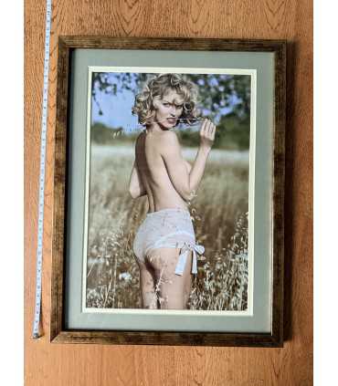 К17. Фото в рамке